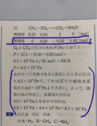 ワンピース616巻の655話の扉絵 でアイスバーグさんの隣にいる女の子は誰 Yahoo 知恵袋