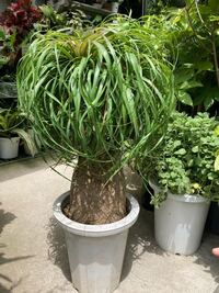 はじめまして 初心者すぎるので どなたか詳しい方教えて下さい Yahoo 知恵袋