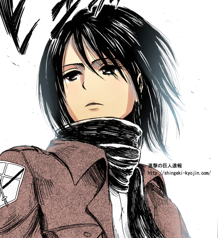 ミカサさん 体重は何キロくらいあるのですか 68キロかなりの筋肉質 Yahoo 知恵袋