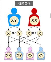 いと惜しい とは 愛おしい という意味ですか それなら Yahoo 知恵袋
