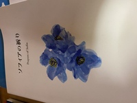 5時間のエネルギーはあなたを速くしますか