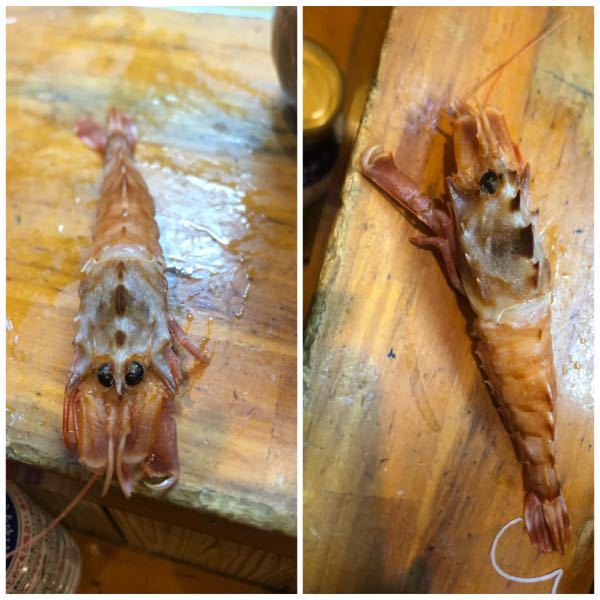 条鰭類と肉鰭類の違いを噛み砕いて教えてください。自分なりに調... Yahoo!知恵袋