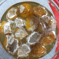 至急です さっき白いカビがついた食べ物を食べてしまいました 途中で気がついて食 Yahoo 知恵袋