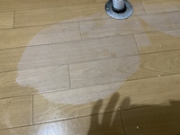 写真のようにフローリングが水でふやけてしまいました 賃貸なので修繕費用がどの程度 教えて 住まいの先生 Yahoo 不動産