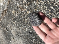 溶岩石を売っている ホームセンターを探しています 大阪北部 京都 または兵 Yahoo 知恵袋