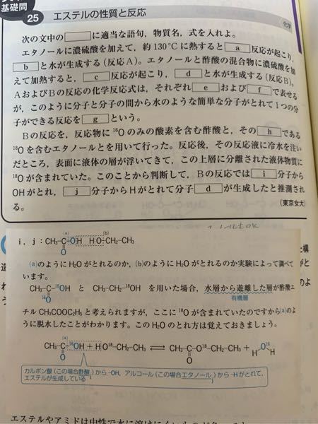 分析化学です 強塩基と弱酸の反応です 酢酸とnaohを当量混ぜた場 Yahoo 知恵袋