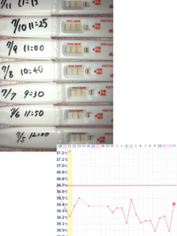 これいつが排卵日ですか 画像見にくいかもしれません Yahoo 知恵袋