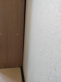 和室に本棚を置きました 巾木はなく壁にピッタリくっつけているのですが 隙 Yahoo 知恵袋