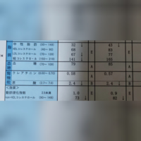 健康診断の結果で2年連続で脂質異常が認められるので精密検査を受けろと書い Yahoo 知恵袋