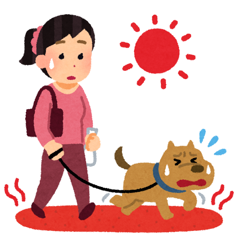 柴犬ってなんで盲導犬に少ないんですか 秋田犬とかもyoutubeで見ると Yahoo 知恵袋
