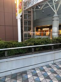 ジャイアンツショップは水道橋だけですか Yahoo 知恵袋