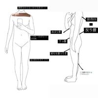 骨格教えてください 自己診断してみたらウェーブになったの Yahoo 知恵袋