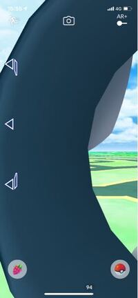 至急お願いしたいです ポケモンgoでバグりました ポケモンをゲット Yahoo 知恵袋