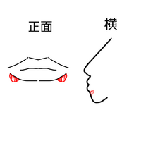 横顔についてずっと歯並びが悪くて下唇が突き出していたので矯正をしたのです Yahoo 知恵袋