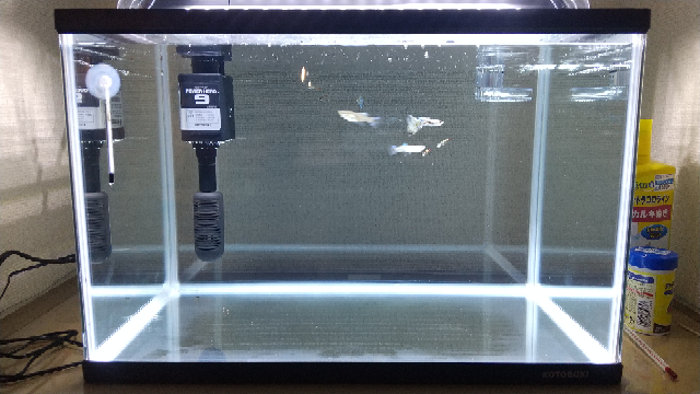 アクアリウム用の二酸化炭素ボンベ が未使用のままあるのですが どう処分した Yahoo 知恵袋