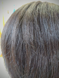 中学生女子です 髪の表面にくるくる チリチリしている髪 アホ毛 Yahoo 知恵袋