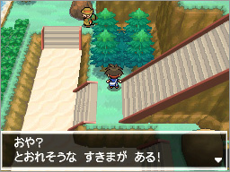 ポケモンbw2の隠し穴について 下記画像の隠し穴に特性がマルチスケ Yahoo 知恵袋