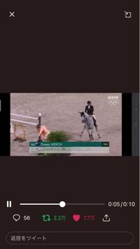馬が相撲取りにびびってます 本番は飛んだみたいですが リハーサルって Yahoo 知恵袋