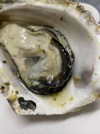 至急 岩牡蠣を買ったのですが 電子レンジで加熱してナイフを入れた Yahoo 知恵袋