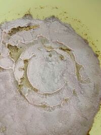 冷蔵庫で一年放置したぬか床です 臭いは普通ですが 表面に白いカビのような Yahoo 知恵袋