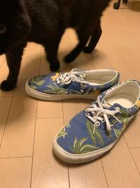 この靴に合うコーデを考えてください 男 高身長 細身です Yahoo 知恵袋