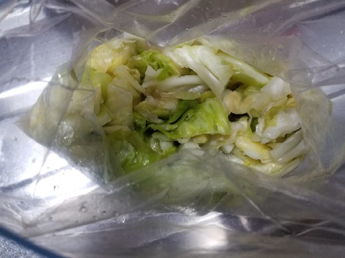 酢キャベツを作り 保存バッグに入れて冷蔵庫で保存していました 作って Yahoo 知恵袋