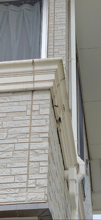 おそらく3日前くらいから蜂が巣を家の外壁の隙間に作り始めたみたいです 教えて 住まいの先生 Yahoo 不動産