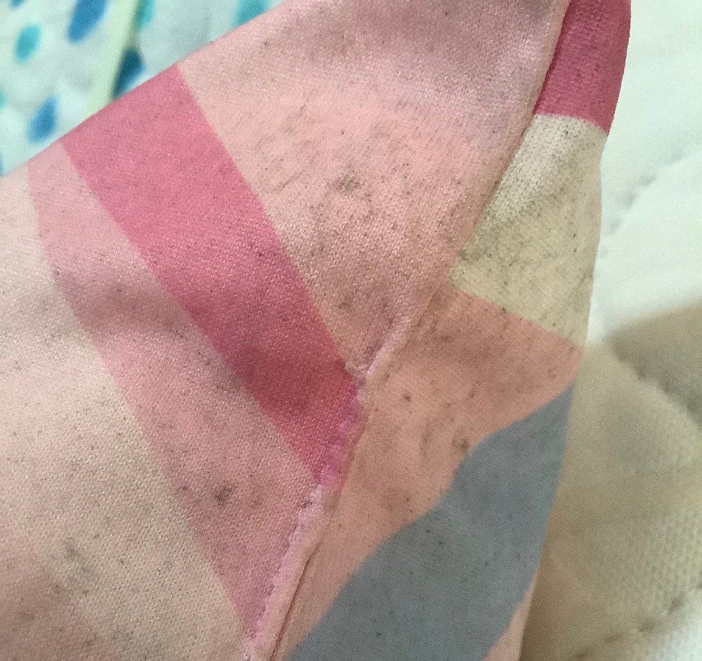 枕枕カバークッションこれはカビですかアニメグッズので通常の枕サイズです中 Yahoo 知恵袋