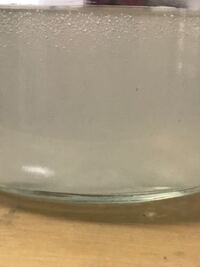 スライムを長持ちさせる保存法ってなんですか この前スライムを作ってもら Yahoo 知恵袋