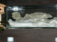 かっぱ 河童 の正体はなんですか 旅行で佐賀県伊万里にある松浦一酒造というと Yahoo 知恵袋