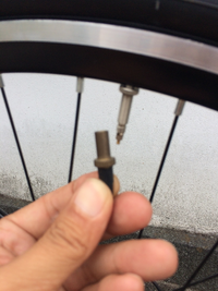 自転車のタイヤのバルブの部品について質問です

自転車を入手したのですがタイヤのバルブで仏式なのですが後輪のバルブとキャップの間に付いている部品は何の為の部品なのでしょうか？ 前輪のバルブには付いておりません