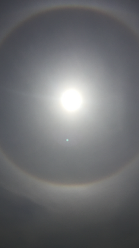 名古屋地方ですが 太陽にワッカみたいですが嵐の前兆ですか 太陽の周 Yahoo 知恵袋