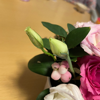 フラワーアレンジメントについて長持ち薬と水をあげていたらスポンジにさした状態の Yahoo 知恵袋