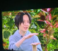 本谷有希子さんはこういう風におでこ出してる髪型の方が似合いますかね Yahoo 知恵袋