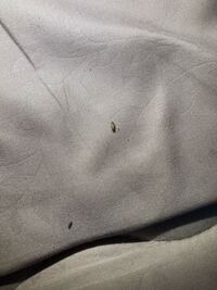 武蔵境駅の周辺にゲームセンターってありますか あれば教えて下さい Yahoo 知恵袋