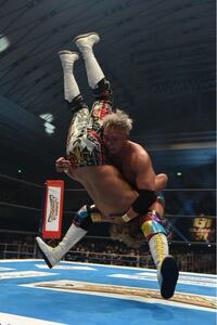 プロレスの技で パイルドライバーとツームストーンパイルドライバーっ Yahoo 知恵袋