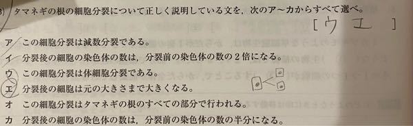 中学2年です 夏休みの課題で数学の自由研究が出されました 何か面白い Yahoo 知恵袋