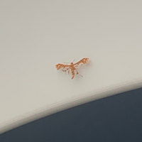 ｽｰﾂを買って その場で仕立て 裾合わせ をしてくれて 持ち帰り出来るｼｮｯﾌ Yahoo 知恵袋