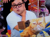写真はアメトーークの猫メロメロ芸人なのですが とろサーモン久保 Yahoo 知恵袋