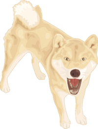 みなさんの好きな犬種と嫌いな犬種を教えて下さい 好きな犬種1シーズー2シ Yahoo 知恵袋