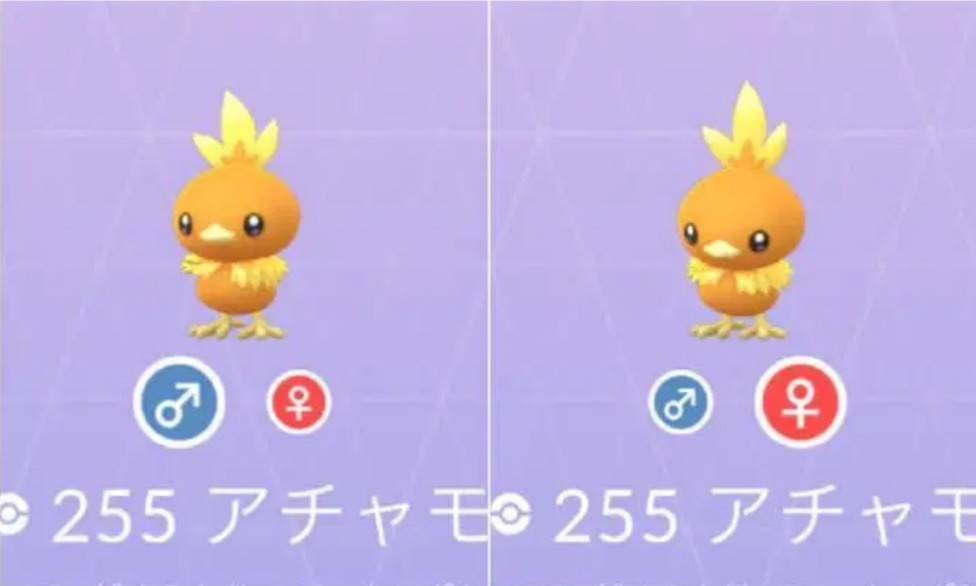 ポケモンでアチャモのオスとメスの違いはどこですか どこか違う所があ Yahoo 知恵袋