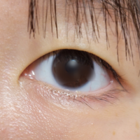 一重の人でまつ毛の生え際が見えている人と見えない人の違いってな Yahoo 知恵袋