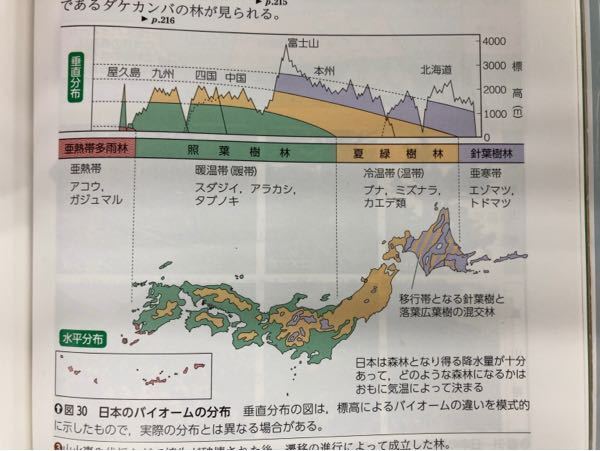 高校の生物基礎 日本のバイオームについての質問です 以下 Yahoo 知恵袋