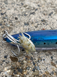 マリオメーカーで使われるtasジャンとはどういう意味ですか Yahoo 知恵袋