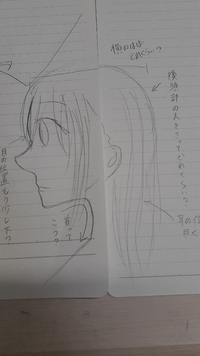 イラストで 横顔や横向きの身体を書くと上手くいきません どうした Yahoo 知恵袋