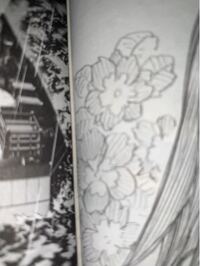 この花の名前と花言葉を教えてください Yahoo 知恵袋