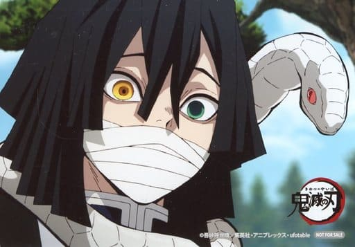 鬼滅の刃で質問です できれば伊黒小芭内のあの毒家族を演じてほしくない女性 Yahoo 知恵袋