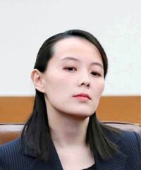 正直 この方って美人ですよね 北朝鮮は美人多いんですか 韓国は美人のイメ Yahoo 知恵袋