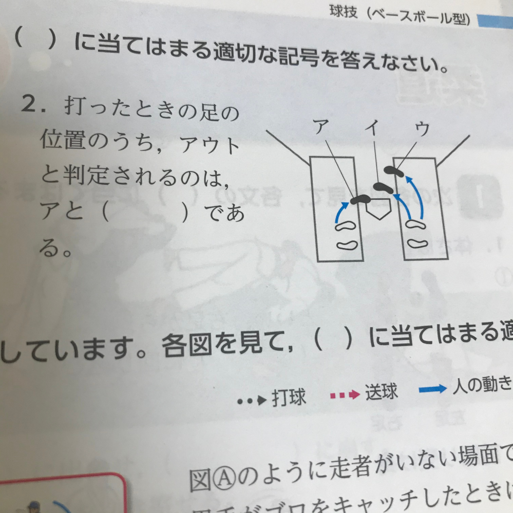 ソフトボールアメリカ代表のユニホーム見て思うんだけどベルトって必要ある って自 Yahoo 知恵袋