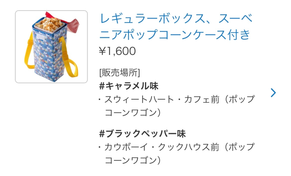 ディズニーランドでこちらのスーベニアポップコーンのケースが欲し Yahoo 知恵袋